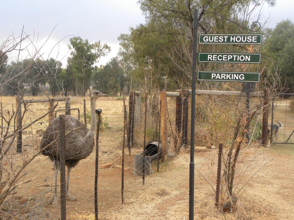 Olive Hill Country Lodge Bloemfontein Zewnętrze zdjęcie